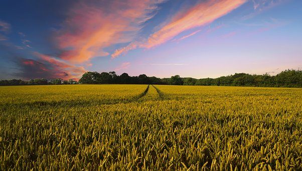 countryside-2326787__340