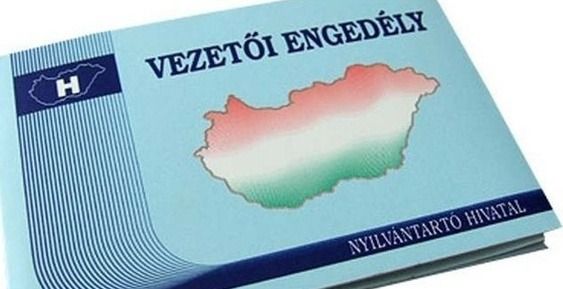 vezetői-engedély C, C+E, D és GKI kategóriás jogosítvány megszerzését támogatják AzÜzlet.hu