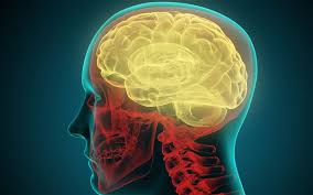 Agyunk és a mesterséges intelligencia