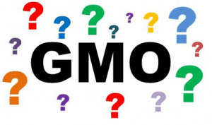 GMO-s vagy mentes? Kormányhatározat a GMO mentes termelésért. Bűncselekmény lesz az élelmiszer hamisítása Kép: AzÜzlet.hu