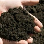 Ez aztán a karácsonyi meglepetés: kinyitja a kormány a földpiacot a pénzügyi befektetők előtt