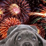 A tűzijátékok biztonságos használatára figyelmeztet a katasztrófavédelem