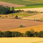 Újabb földterületek megvásárlására nyílik lehetőség – vételi ajánlat 2026. január 16-ig