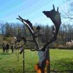 Dámszezon Gúthon: 85 százalék az érmes arány