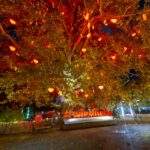 Karácsonyi vásárok a bécsi adventi gazdaság mozgatórugói