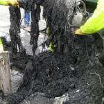 Miért állnak le ünnepnapokon a csatornák? A zsírszörnyek új ellensége az okosszivattyú