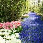 Visit Hungary: csaknem 80 elismerést adtak át a Virágos Magyarország díjátadóján