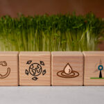 Az Omnibus csak lassított, de nem állt le. 2025 az újratervezés éve volt a fenntarthatósági szabályozásban.